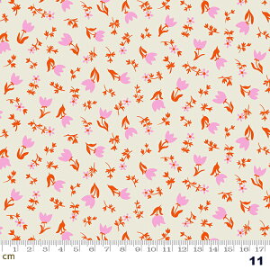 yModa _zSMOL-RS3017-11(2E-05) sNn IWn zCgn ԕ A Rbg100% V[`O y10cmPʔ̔z