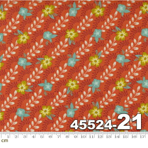 yModa _zSongbook-45524-21(2E-03) bhn  ԕ A Rbg100% V[`Oy10cmPʔ̔z