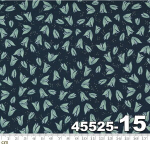 yModa _zSongbook-45525-15(2E-03) u[n  lCr[ F Rbg100% V[`Oy10cmPʔ̔z