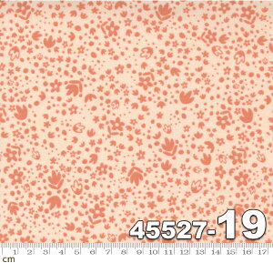 yModa _zSongbook-45527-19(2E-03) IWn sNn ԕ hbg  Rbg100% V[`Oy10cmPʔ̔z