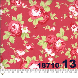 yModa _zSophie-18710-13(2E-04) bhn sNn O[n  Rbg100 V[`Oy10cmPʔ̔z