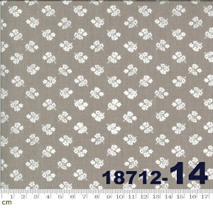 yModa _zSophie-18712-14(2E-04) zCgn O[n  ԕ Rbg100 V[`Oy10cmPʔ̔z