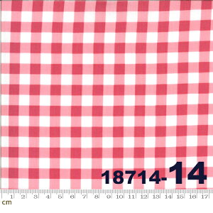 yModa _zSophie-18714-14(2E-04) zCgn bhn  Rbg100 V[`Oy10cmPʔ̔z