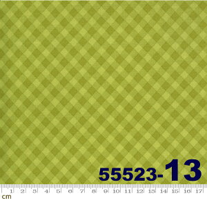 yModa _zSpring Chicken-55523-13(2E-04) O[n Rbg100% V[`Oy10cmPʔ̔z