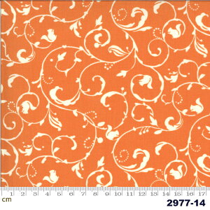 yModa _zSquirrelly Girl-2977-14(2E-03) IWn zCgn AxXN H Rbg100 V[`O 110cmy10cmPʔ̔z