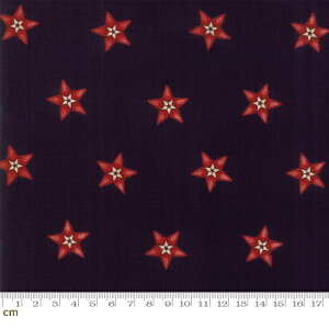 yModa _zStar and Stripe Gatherings-1260-16(2D-05) X^[L bhn lCr[n ubNn Rbg100% V[`Oy10cmPʔ̔z