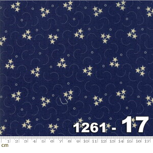 yModa _zStar and Stripe Gatherings-1261-17(2D-05)  X^[L  lCr[n AC{[n Rbg100% V[`Oy10cmPʔ̔z