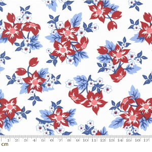 yModa _zStar Spangled-24170-11(3A-01) 唻 ԕ g AJJg[ bh u[ Rbg100 V[`O 110cmy10cmPʔ̔z