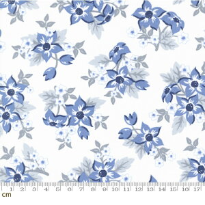 yModa _zStar Spangled-24170-12(3A-01) 唻 ԕ g AJJg[ zCg u[ Rbg100 V[`O 110cmy10cmPʔ̔z