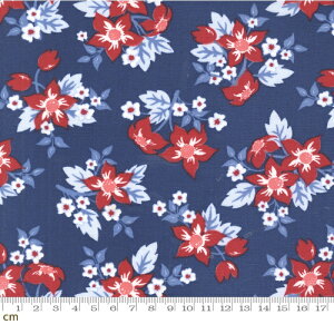 yModa _zStar Spangled-24170-13(3A-01) 唻 ԕ g AJJg[ lCr[ Rbg100 V[`O 110cmy10cmPʔ̔z