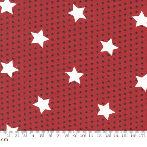 yModa _zStar Spangled-24171-15(3A-01)  AJJg[ bh Rbg100 V[`O 110cmy10cmPʔ̔z