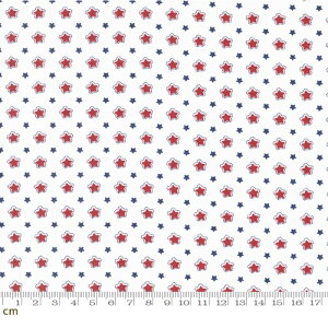 yModa _zStar Spangled-24174-11(3A-01)  g AJJg[ zCg Rbg100 V[`O 110cmy10cmPʔ̔z