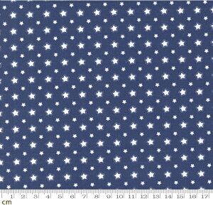 yModa _zStar Spangled-24174-13(3A-01)  g AJJg[ u[ Rbg100 V[`O 110cmy10cmPʔ̔z