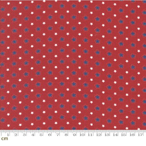 yModa _zStar Spangled-24174-15(3A-01)  g AJJg[ bh Rbg100 V[`O 110cmy10cmPʔ̔z