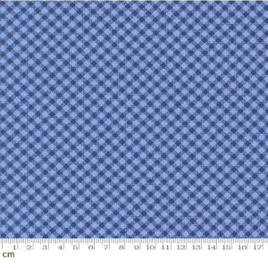 yModa _zStar Spangled-24175-13(3A-01) MK`FbN g AJJg[ u[ Rbg100 V[`O 110cmy10cmPʔ̔z