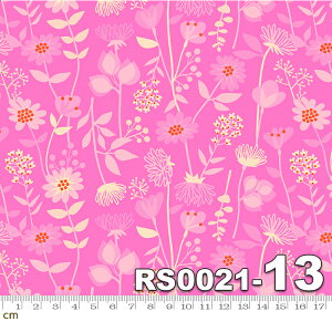 yModa _zStay Gold-RS0021-13(2E-05) sNn ԕ A meadow Ruby Star(r[X^[) Rbg100 V[`Oy10cmPʔ̔z