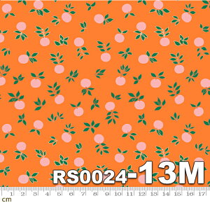 yModa _zStay Gold-RS0024-13M(^bNH)(2E-04) IWn sNn blossom t[c A Ruby Star(r[X^[) Rbg100 V[`Oy10cmPʔ̔z