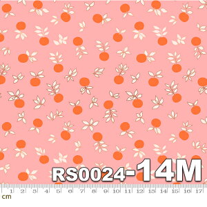 yModa _zStay Gold-RS0024-14M(^bNH)(2E-04) IWn sNn blossom t[c A Ruby Star(r[X^[) Rbg100 V[`Oy10cmPʔ̔z