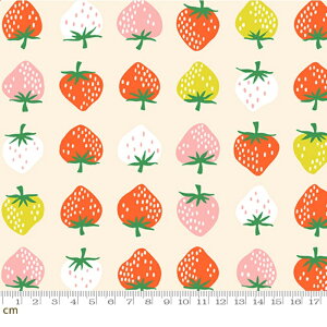 yModa _zyRuby StarzStrawberry-RS3084-11(3B-09) moda   bh zCg Xgx[ CG[ t[c V[`O 110cmy10cmPʔ̔z