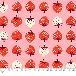 yModa _zyRuby StarzStrawberry-RS3084-13(3B-09) moda   bh zCg Xgx[ t[c V[`O 110cmy10cmPʔ̔z