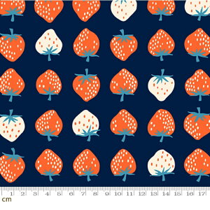 yModa _zyRuby StarzStrawberry-RS3084-23(3B-09) moda   bh lCr[ zCg CG[ Xgx[ t[c V[`O 110cmy10cmPʔ̔z