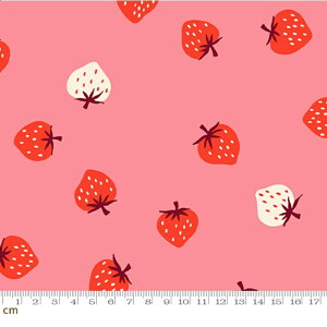【Moda モダ】【Ruby Star】Strawberry-RS3085-16(3B-09) moda 小粒 いちご柄 レッド ピンク ホワイト ストロベリー フルーツ柄 シーチング 110cm幅【10cm単位販売】