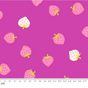 yModa _zyRuby StarzStrawberry-RS3085-18(3B-09) moda   p[v sN zCg Xgx[ t[c V[`O 110cmy10cmPʔ̔z