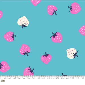 yModa _zyRuby StarzStrawberry-RS3085-20(2B-09) moda   XJCu[ u[ sN zCg Xgx[ t[c V[`O 110cmy10cmPʔ̔z