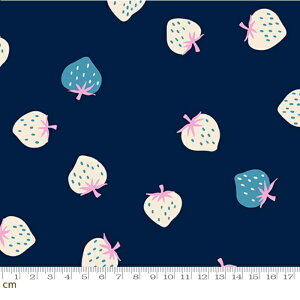 yModa _zyRuby StarzStrawberry-RS3085-21(3B-09) moda   lCr[ u[ sN zCg Xgx[ t[c V[`O 110cmy10cmPʔ̔z