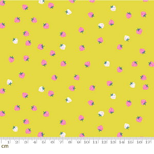 yModa _zyRuby StarzStrawberry-RS3086-17(3B-09) moda   F CG[n Xgx[ t[c V[`O 110cmy10cmPʔ̔z