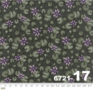 yModa _zSummer on the Pond-6721-17(2C-05)ԕ O[n Rbg100 V[`O 110cmy10cmPʔ̔z