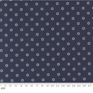 yModa _zSummertime-55322-20(3A-02) ԕ hbg  lCr[ Rbg100 V[`O 110cmy10cmPʔ̔z