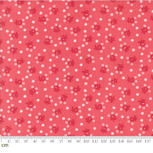 yModa _zSummertime-55328-12(3A-02) ԕ  g sN Rbg100 V[`O 110cmy10cmPʔ̔z