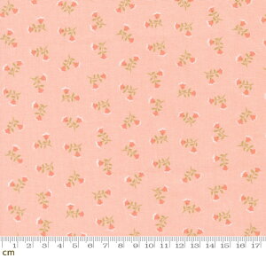 yModa-k _zSunbonnet-31763-15(3A-03) ԕ WsN pXeJ[ 킢 V[`O 110cm pb`[N nhChy10cmPʔ̔z