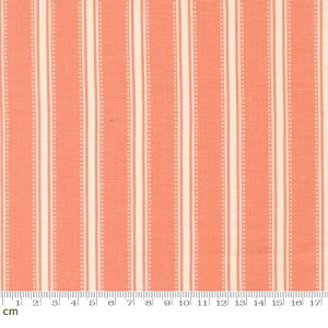 yModa-k _zSunbonnet-31767-41(3A-03) XgCv s[`sN WsN pXeJ[ 킢 V[`O 110cm pb`[N nhChy10cmPʔ̔z