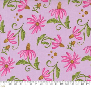 yModa _z Superbloom-48783-14(3A-02) ԕ Ԃт ` x_[p[v Rbg100 V[`O 110cmy10cmPʔ̔z