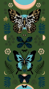 yModa _zTiger Fly-pl(1P 60cm)-RS2011-13M(^bNH)(2D-01)(2C-06) zCg O[n F S[h  A  Rbg100 V[`O
