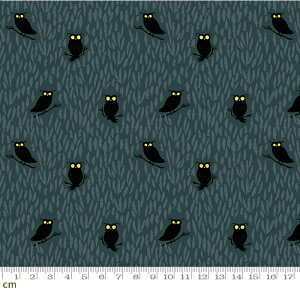 yModa _zTiny Frights-RS5121-14(2E-08) O[n tNE  nEB r[X^[ Rbg100% V[`Oy10cmPʔ̔z