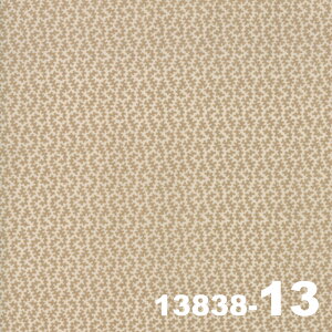 yModa _zVive La France-13838-13(3B-06) eNX` x[Wn uEn AeB[N Rbg100% V[`O French General t`WFl y10cmPʔ̔z