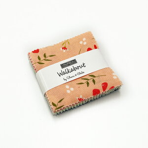 yModa _zWalkabout-37560MC 6.5×6.5cm (42) JbgNXZbg ԕ XgCv 􉽊w 킢 vJbg ~j`[ nTv Rbg100% V[`O