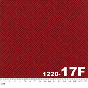 yModa _zWool and Needle Flannels V-1220-17F(tl)(2D-02) bhn  􉽊w Rbg100% V[`O y10cmPʔ̔z