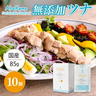 【無添加ツナ】ワイルドアルバコアツナ＆シーソルト10個入（85g×10袋） 無添加 国産 ツナ ノンオイル マ…