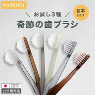 (公式)【お試し3種セット】 奇跡の歯ブラシ 6本セット ふつう スパイラル やわらかめ 正規品 歯ブラシ 虫…