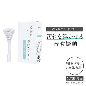 ijՂ̉guV duV A^b`g ւuV ̂ l100N̐VK 5bŌL΍ 퉻 𕂂鉹gU 16,000{̋ɍז Ƀt