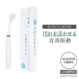 ijՂ̉guV duV l100N̐VK 5bŌL΍ 퉻 𕂂鉹gU 16,000{̋ɍז ɃtBbgijՂ̓d