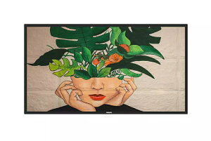 y[F₢zPHILIPS@65C`TCl[W/3840×2160/DVI HDMI DisplayPort@65BDL4550D/11