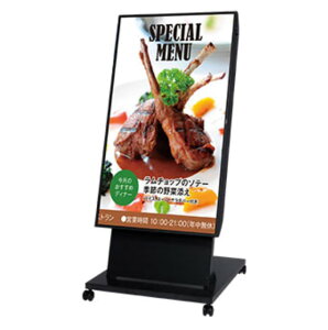 NEC fW^TCl[WLbg fG 49^ 4KΉ LCD-E498-MP03