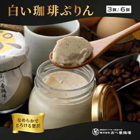 ぷりん 白い珈琲ぷりん お歳暮 北海道 プリン 3個入 6個入 下川六〇酵素卵 冷蔵便 コーヒープリン 一部送料無料 コーヒー 珈琲プリン