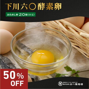 yX[p[SALE50OFFzZZyf SSTCY ` STCY  kC Yn  CG[̉ Z 20  jۏ܂ ߂