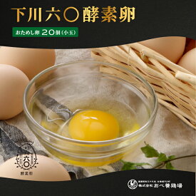 【P10倍】下川六〇酵素卵 SSサイズ ～ Sサイズ 小玉 北海道 産地直送 卵かけご飯 レモンイエローの黄味 濃厚 20個 卵 破損保障含む おためし